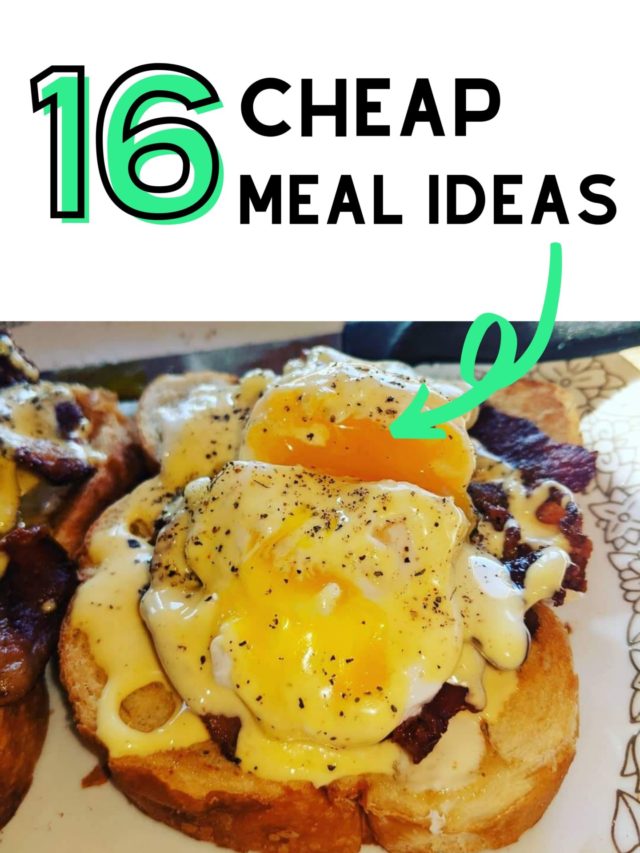 Cheap Meals Story