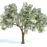 Money growing from a tree