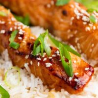 Teriyaki salmon laid out on white rice.