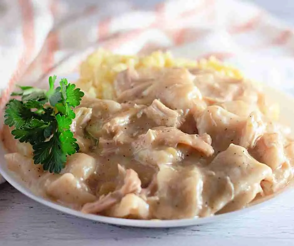 chicken and dumplings on a plate.