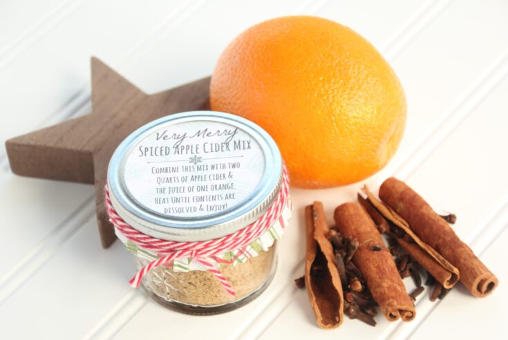 Image for Quick & Easy Holiday Spiced Apple Cider Recipe (with DIY Christmas Gift Option!)