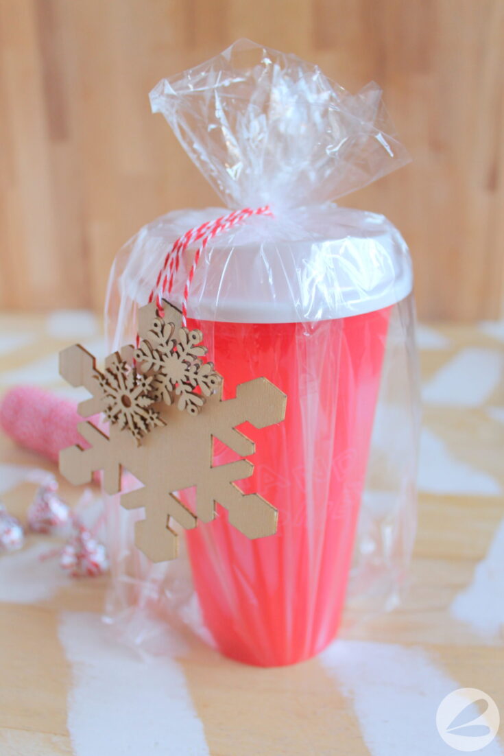 Image for Starbucks Cup Gift Idea